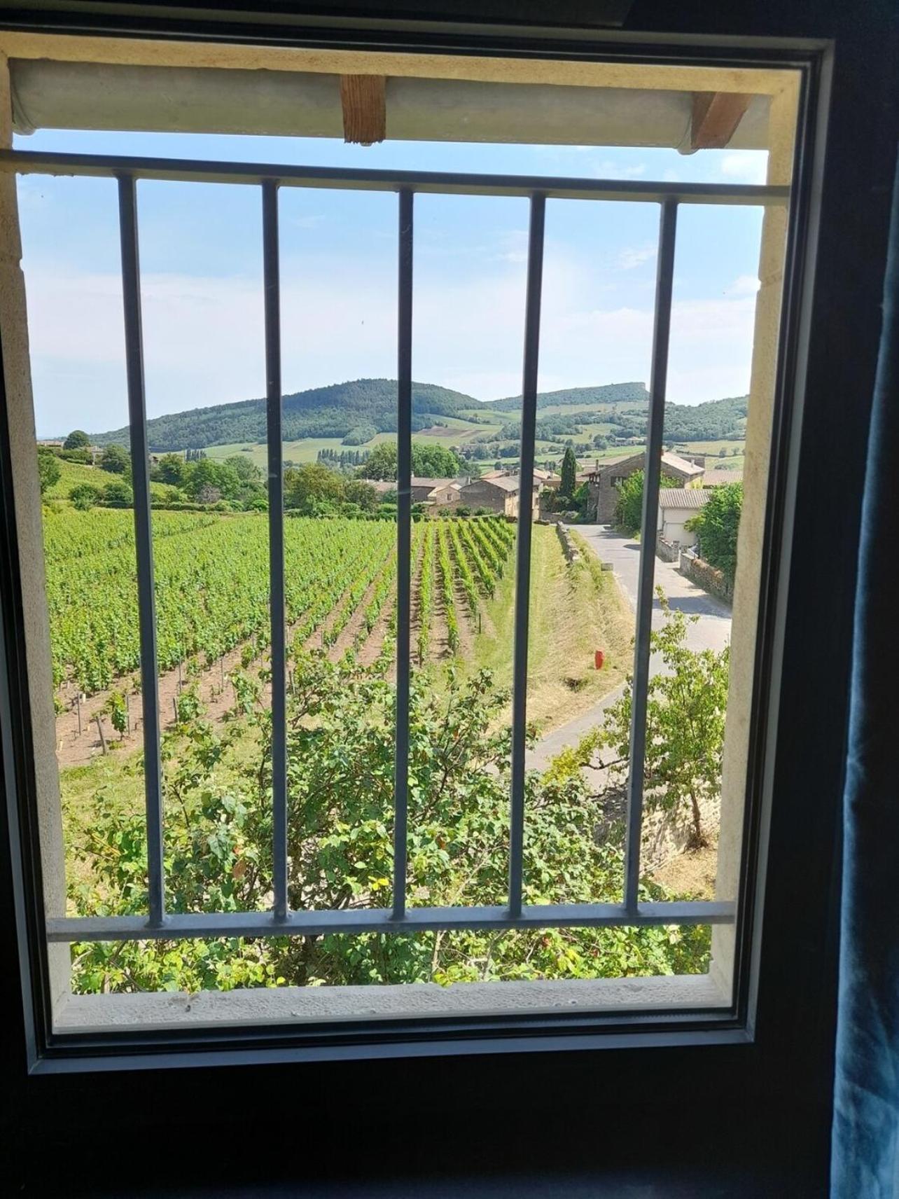 At The End Of The World -Bussires Burgundy Villa Bussieres  Exteriör bild