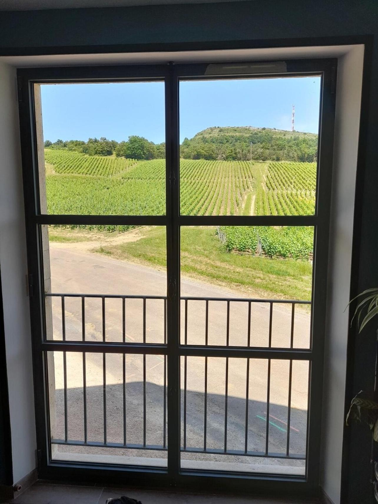At The End Of The World -Bussires Burgundy Villa Bussieres  Exteriör bild